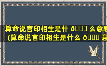 算命说官印相生是什 🐞 么意思(算命说官印相生是什么 🕊 意思啊)